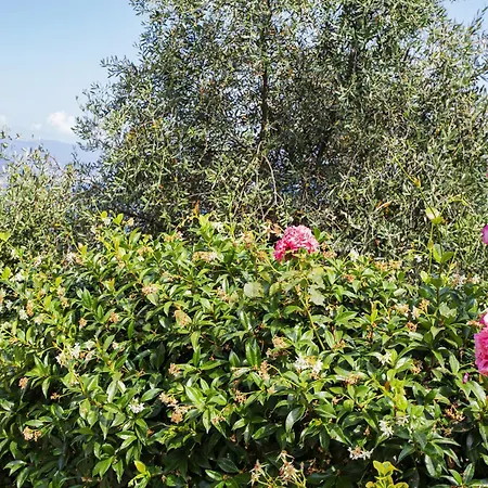 Amazing Seaview In Santa Margherita By Wonderful Italy * Santa Margherita Ligure